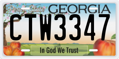 GA license plate CTW3347