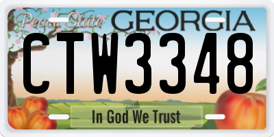 GA license plate CTW3348