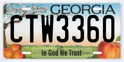 GA license plate CTW3360
