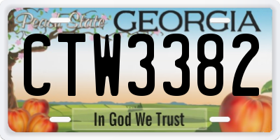 GA license plate CTW3382