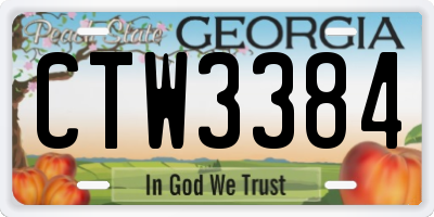 GA license plate CTW3384
