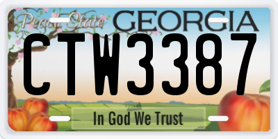 GA license plate CTW3387