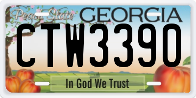 GA license plate CTW3390