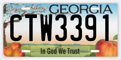GA license plate CTW3391