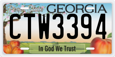 GA license plate CTW3394