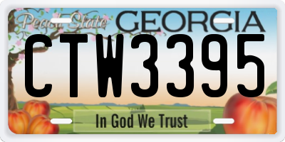GA license plate CTW3395