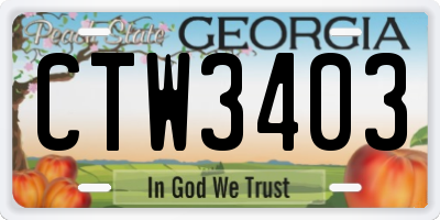 GA license plate CTW3403