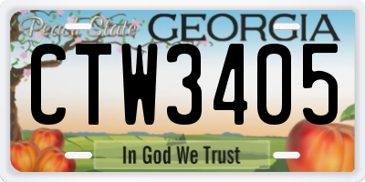 GA license plate CTW3405
