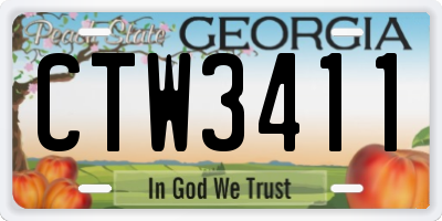 GA license plate CTW3411