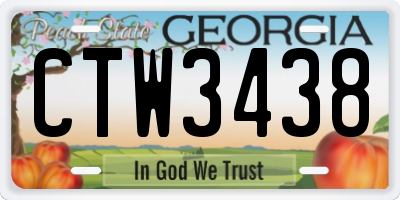 GA license plate CTW3438