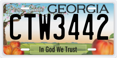 GA license plate CTW3442