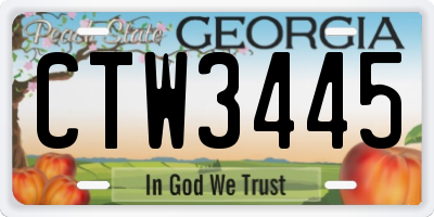 GA license plate CTW3445