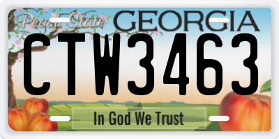 GA license plate CTW3463
