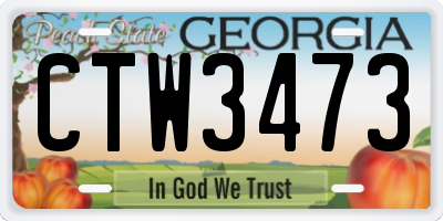 GA license plate CTW3473