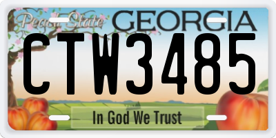 GA license plate CTW3485