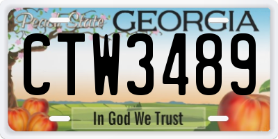 GA license plate CTW3489