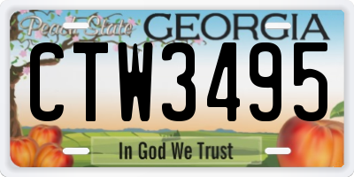 GA license plate CTW3495
