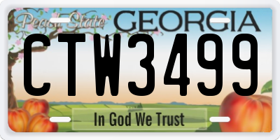GA license plate CTW3499