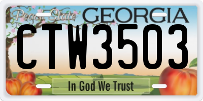 GA license plate CTW3503