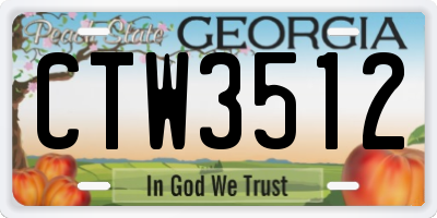 GA license plate CTW3512