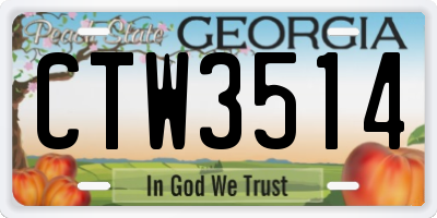 GA license plate CTW3514