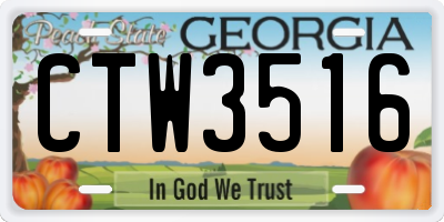 GA license plate CTW3516