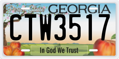 GA license plate CTW3517