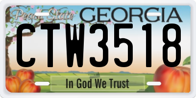 GA license plate CTW3518