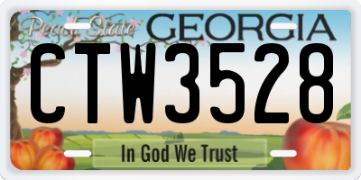 GA license plate CTW3528