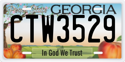 GA license plate CTW3529