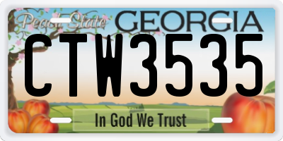 GA license plate CTW3535