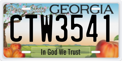 GA license plate CTW3541