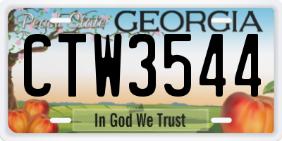 GA license plate CTW3544