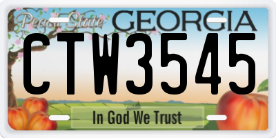 GA license plate CTW3545