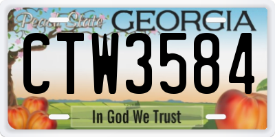 GA license plate CTW3584