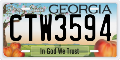 GA license plate CTW3594