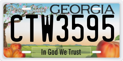 GA license plate CTW3595