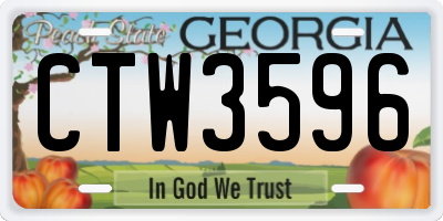 GA license plate CTW3596