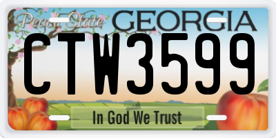 GA license plate CTW3599