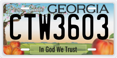 GA license plate CTW3603