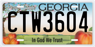 GA license plate CTW3604