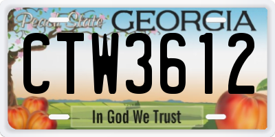 GA license plate CTW3612
