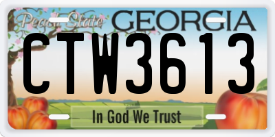 GA license plate CTW3613