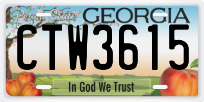 GA license plate CTW3615