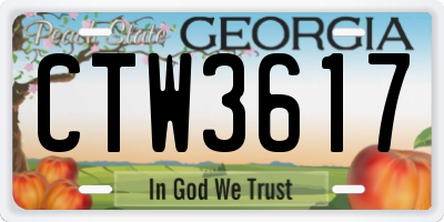 GA license plate CTW3617