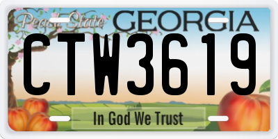 GA license plate CTW3619