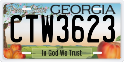 GA license plate CTW3623