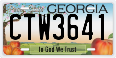 GA license plate CTW3641