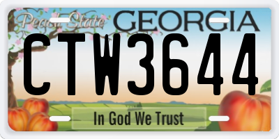 GA license plate CTW3644