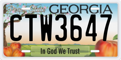 GA license plate CTW3647